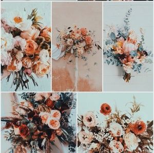 Meet your Posher, Ally